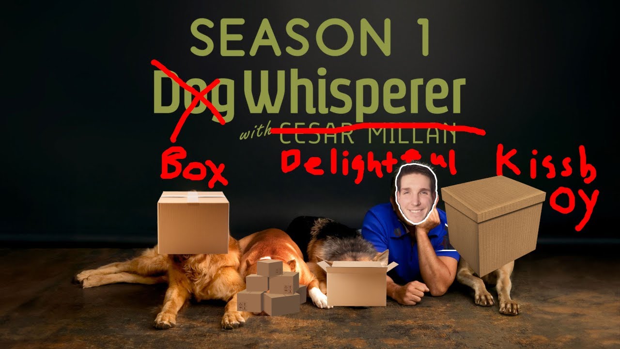 Преподаю этим коробкам урок божий | Случайное подземелье Mimic Logic