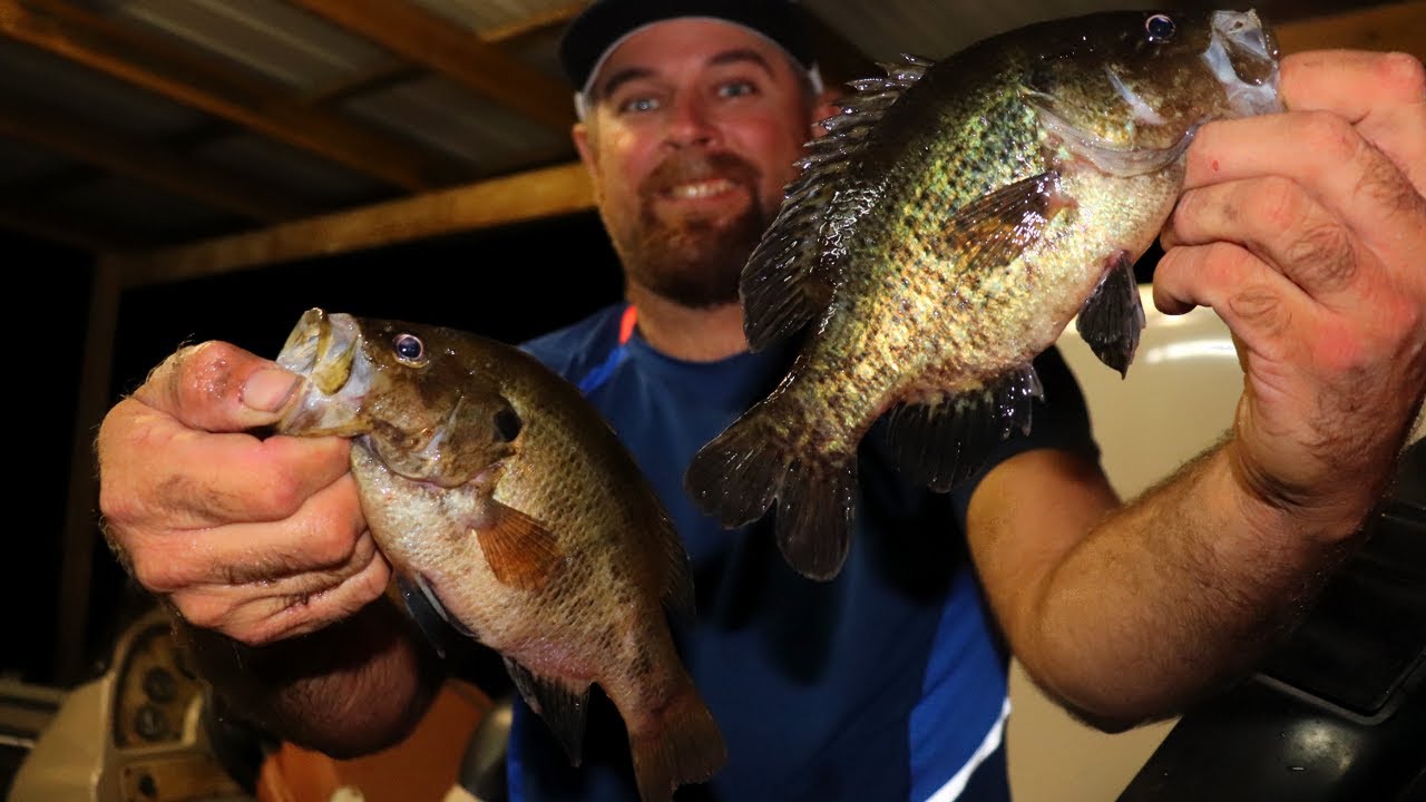 How to fish for Warmouth - Top Secret Lure