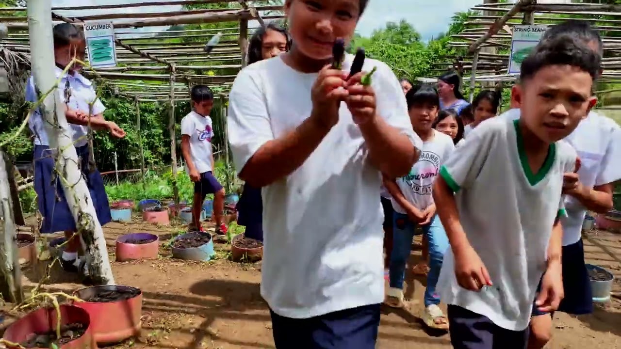 Diis ES Trinidad Bohol GPP Awards 2025 (Urban)