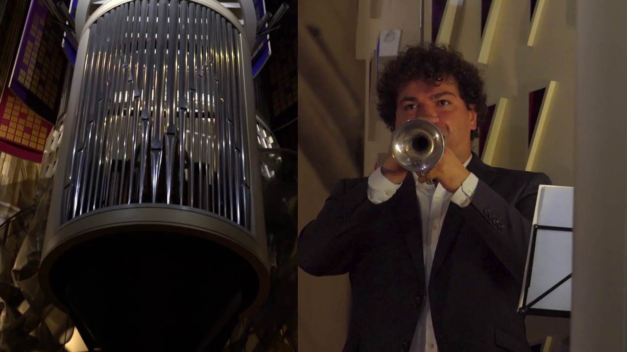 Tomasi, Variations Grégoriennes / David Guerrier - Jean Baptiste Robin