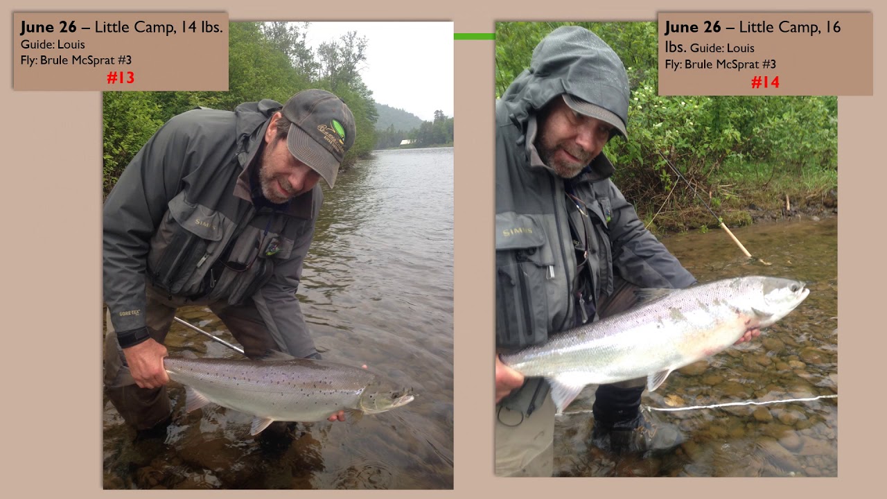The Week JUN 2019 - Gaspe Salmon Fishing at its Best