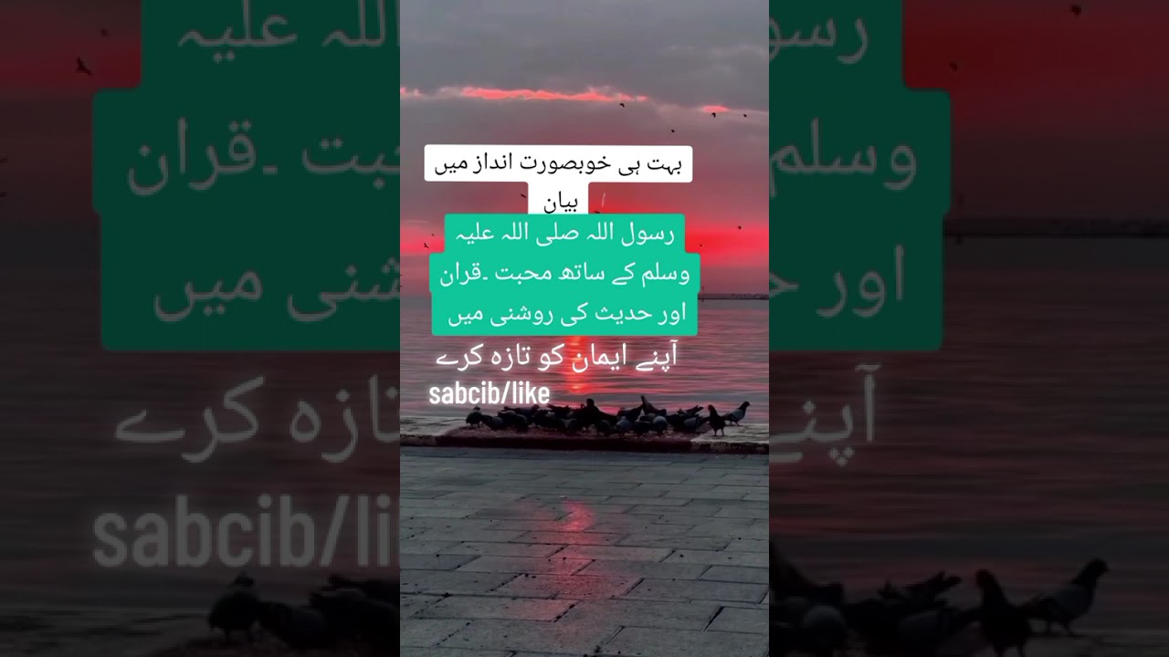 رسول اللہ صلی اللہ علیہ وسلم کی کی محبت قرآن مجید اور حدیث کی روشنی میں ضرور اپنے ایمان کو تازہ کرے 