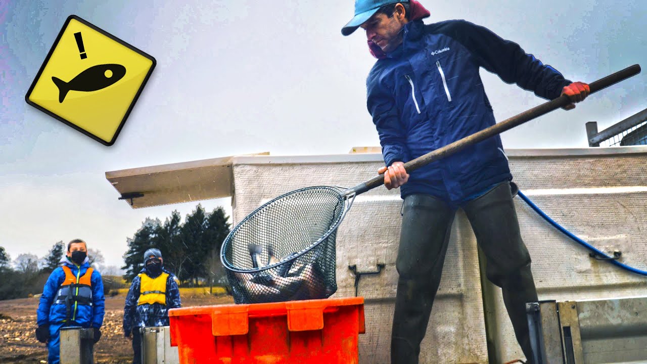 Un LACHER de POISSON MASSIF ! Du jamais vu sur ce lac ...