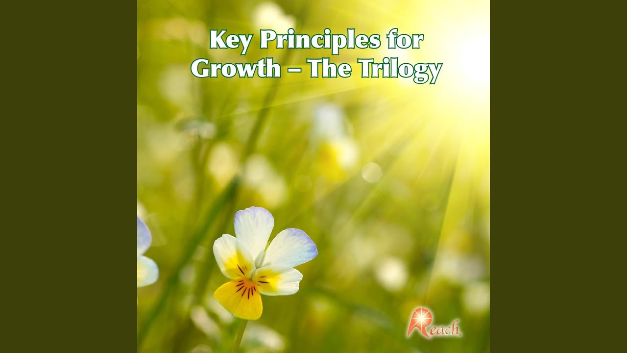 Key Principles For Growth 3