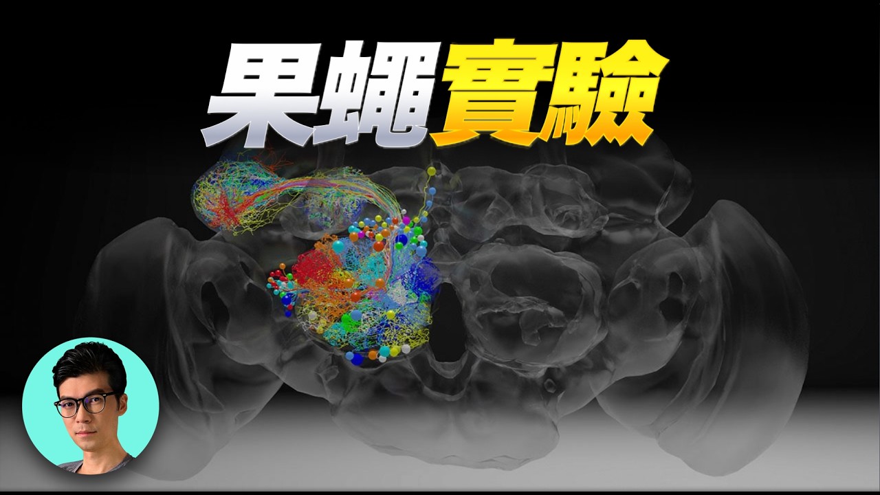 奇點時刻！人類第一次「上傳」了一個大腦，並讓它在虛擬世界中活了過來「曉涵哥來了」
