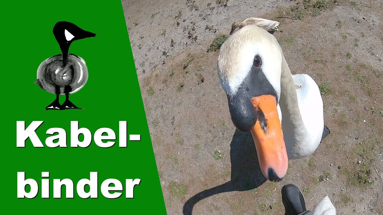 Kabelbinder - Tiernotruf #248