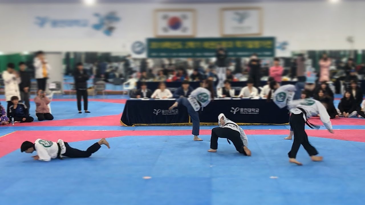 용인대 태권도학과 학기말평가전 꿀잼인디 안볼꺼야?
