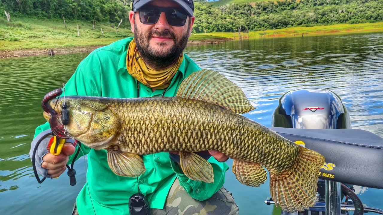 Cada arremesso um peixe - SALTO SANTIAGO - PESCARIA DE TRAIRA - CRAW SANTIAGO - MEGABASS FUSION