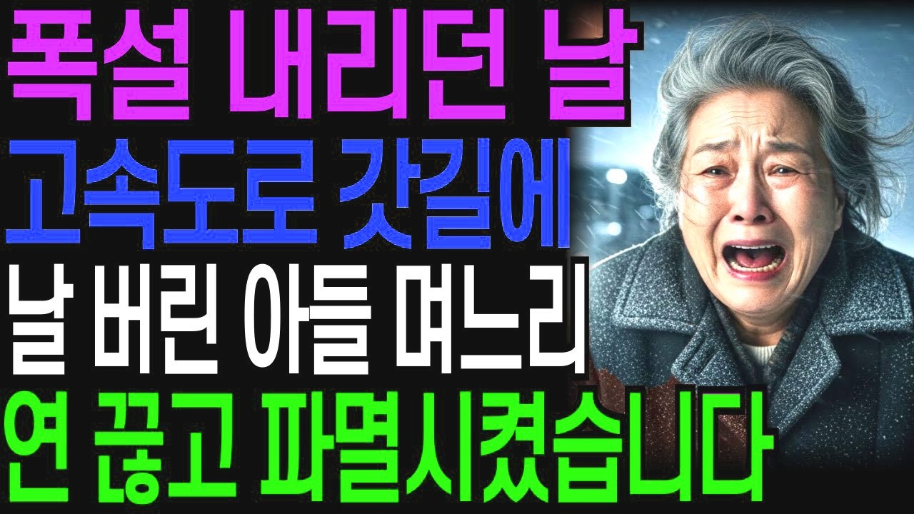폭설 내리던날 고속도로에 날 버린 아들 며느리, 살아 남아 연끊고 파멸시켰습니다    반전사연   오디오북   시니어사연