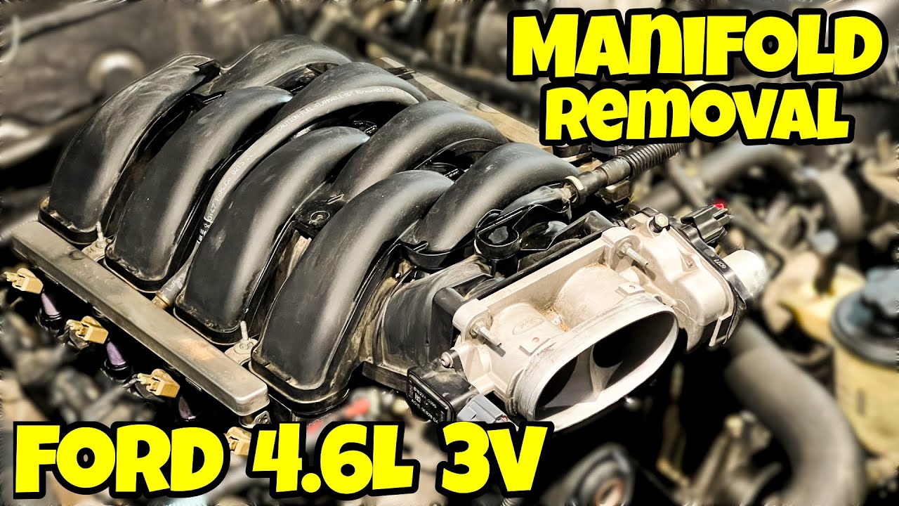How-To: Intake Manifold 4.6L Ford V8