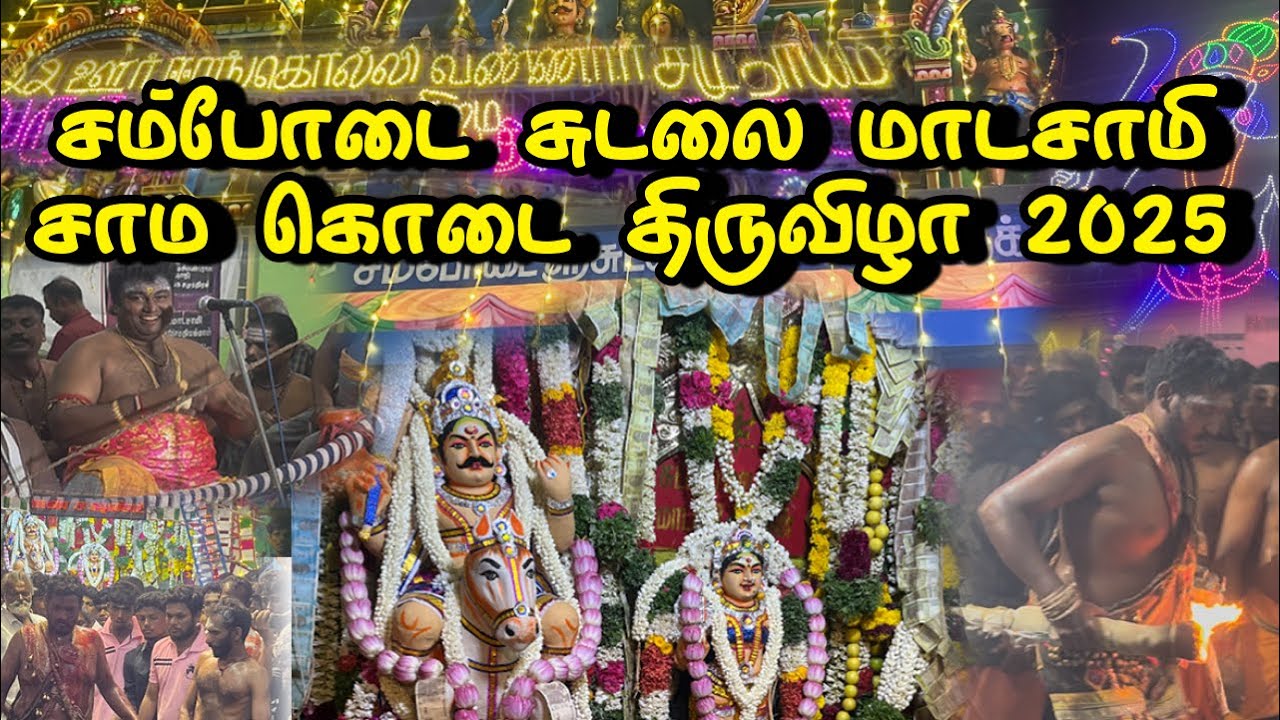சம்போடை ஸ்ரீ சுடலை மாடசாமி சாம கொடை திருவிழா 2025 #sudalai_madan #kovil_kodai #mayandisudalai
