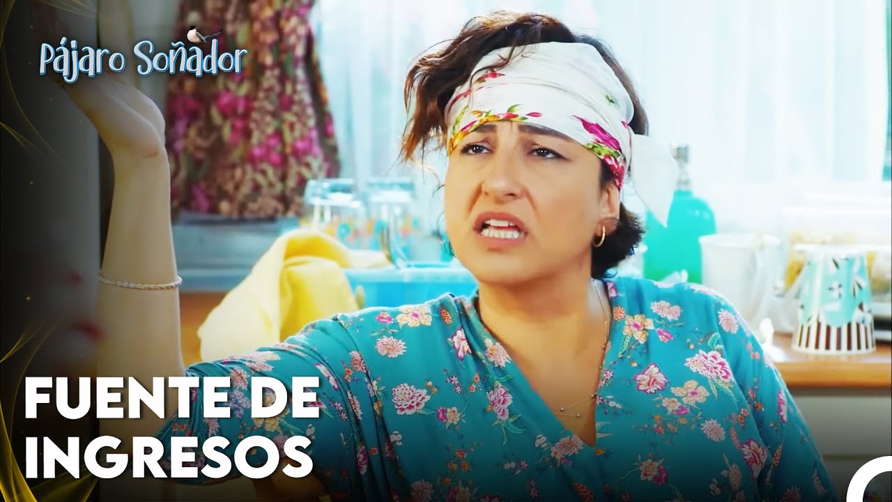 ¿Recuperaremos El Mercado? - Pájaro Soñador Capitulo 5