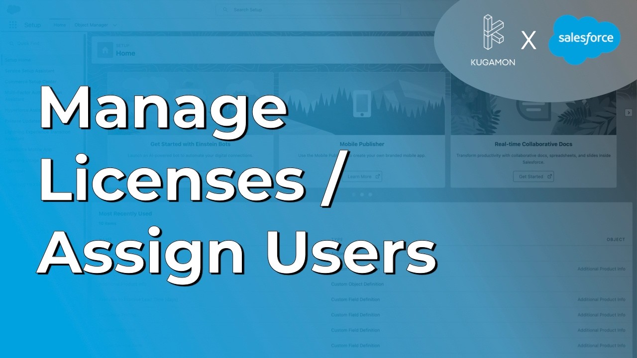 Manage Licenses / Assign Users #administration