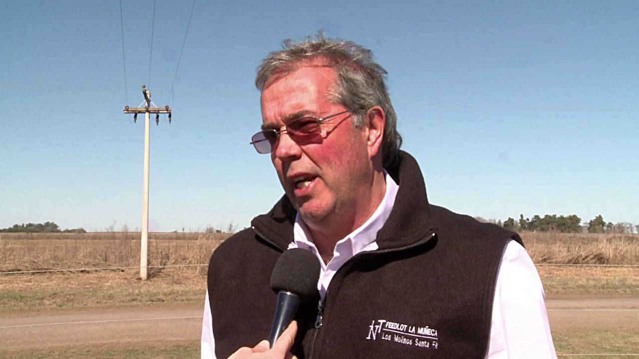 LA RENTABILIDAD EN EL FEEDLOT