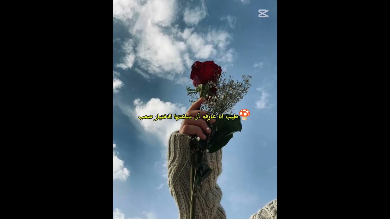 من ترك شيئا لله عوضه الله خيرا منه 💞💞#اكسبلور #lifeisbutadream # #storytime 