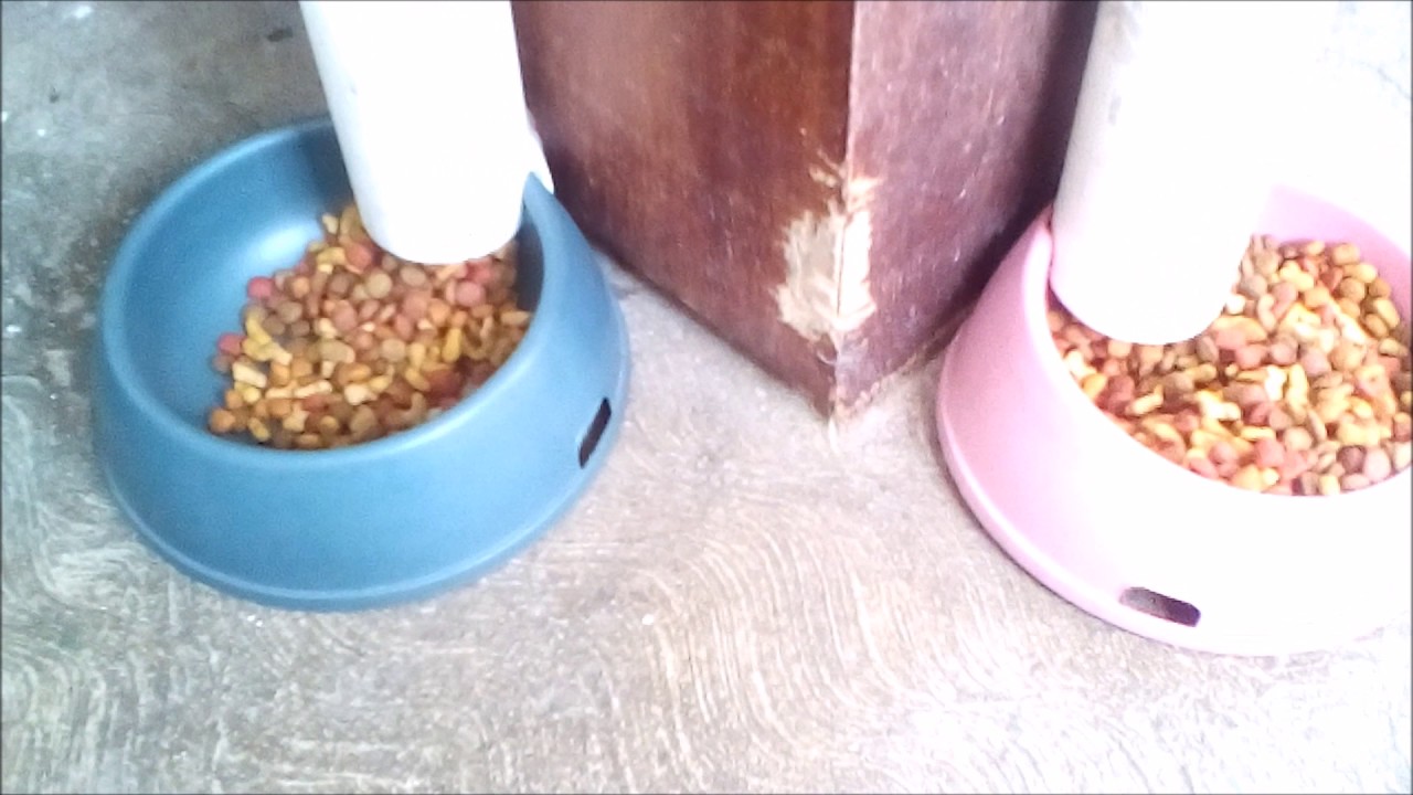 COMEDERO PARA PERROS CON  TUVO DE ,PVC 