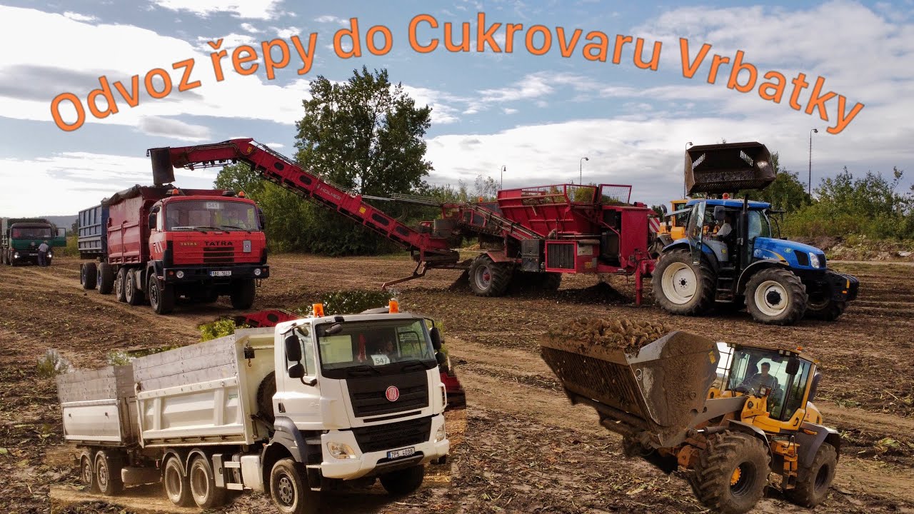 Nakládka cukrové řepy 2023 | New Holand T6020 + Holmer RRL 200 eco |Řepná kampaň 2023 | Volvo L90G