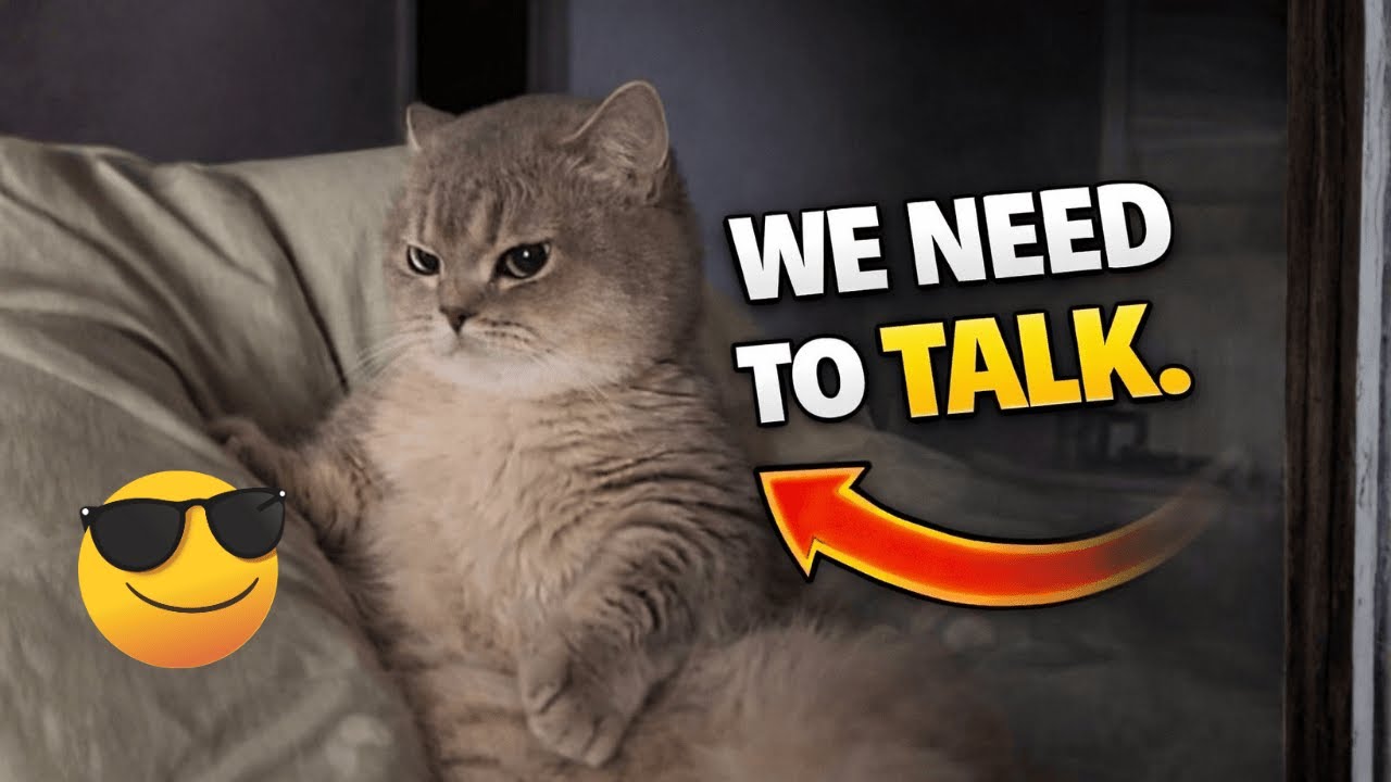 Wait… Did You See That Reaction?! 😹