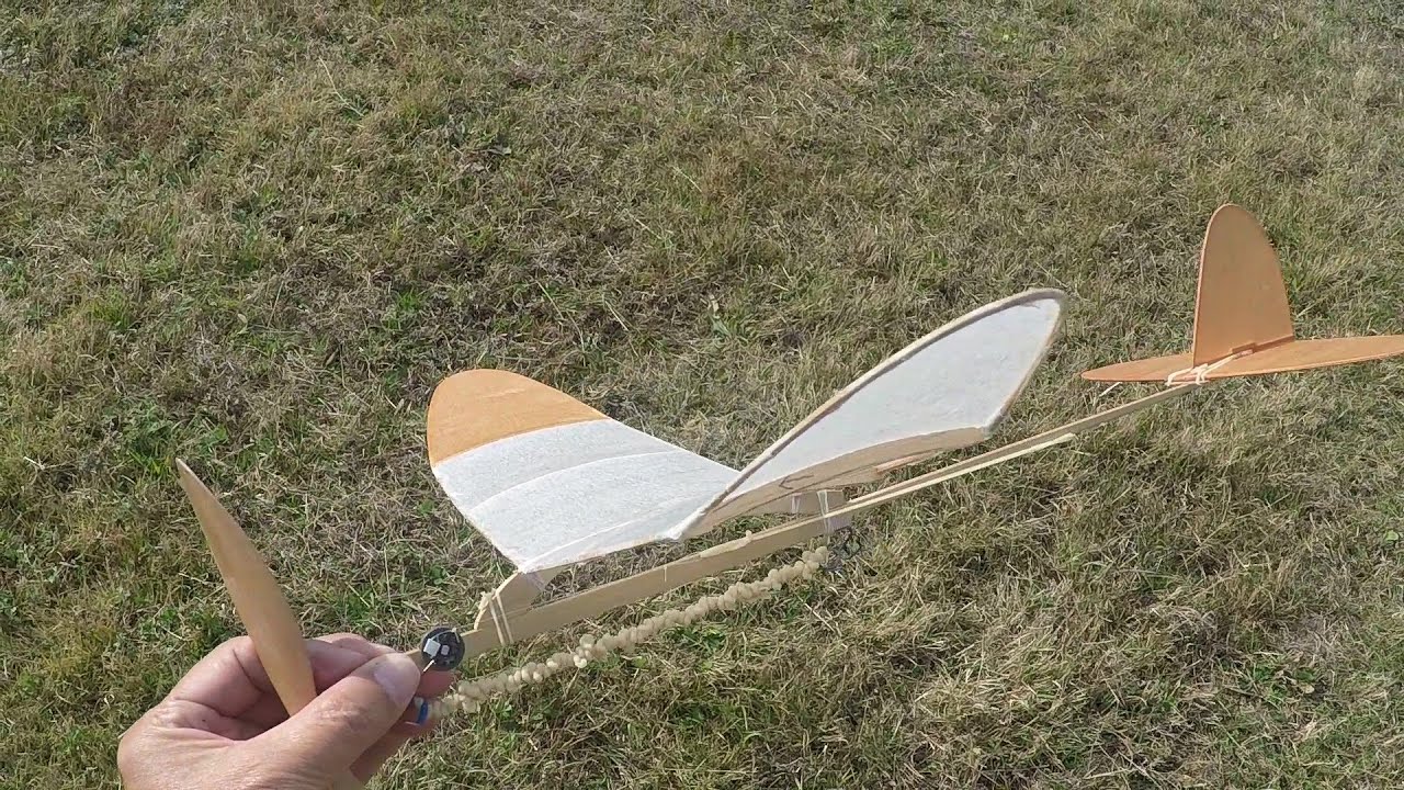 Free Flight 2025 第68回 おまけ平城宮FF同志会