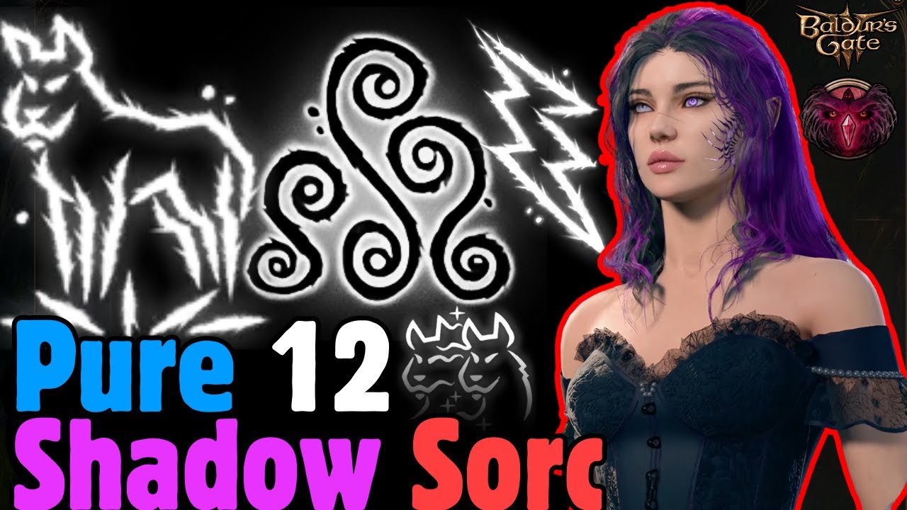 PURE 12 SHADOW MAGIC SORCERER Build in Baldur's Gate 3