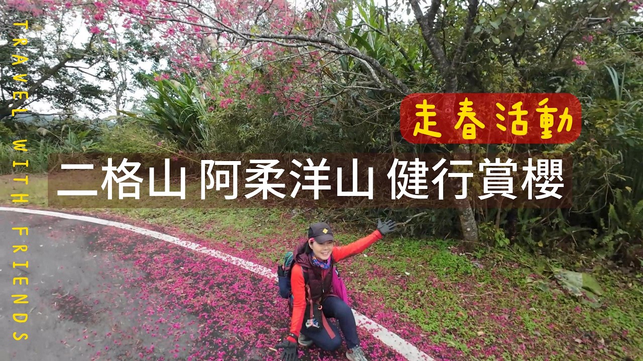 深坑賞櫻秘境!二格山連走阿柔洋山沿途櫻花超美