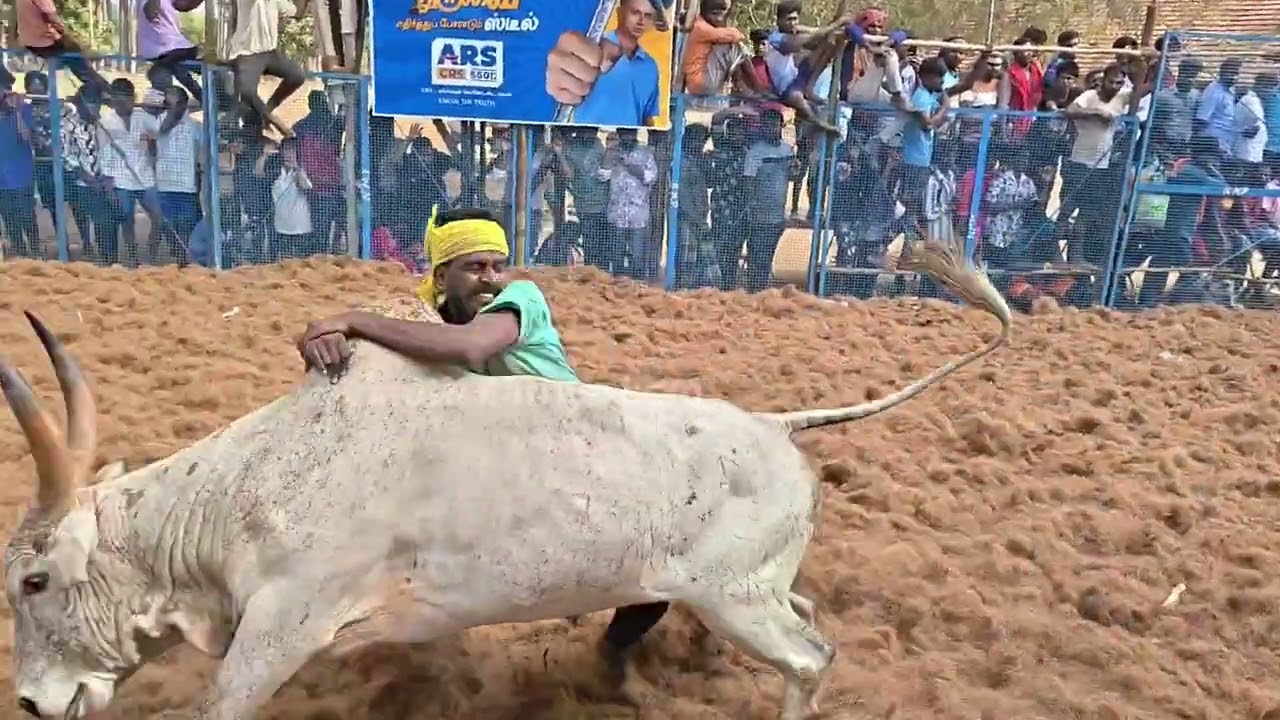 நல்லமநாயக்கன்பட்டி ஜல்லிக்கட்டு 13.6 26