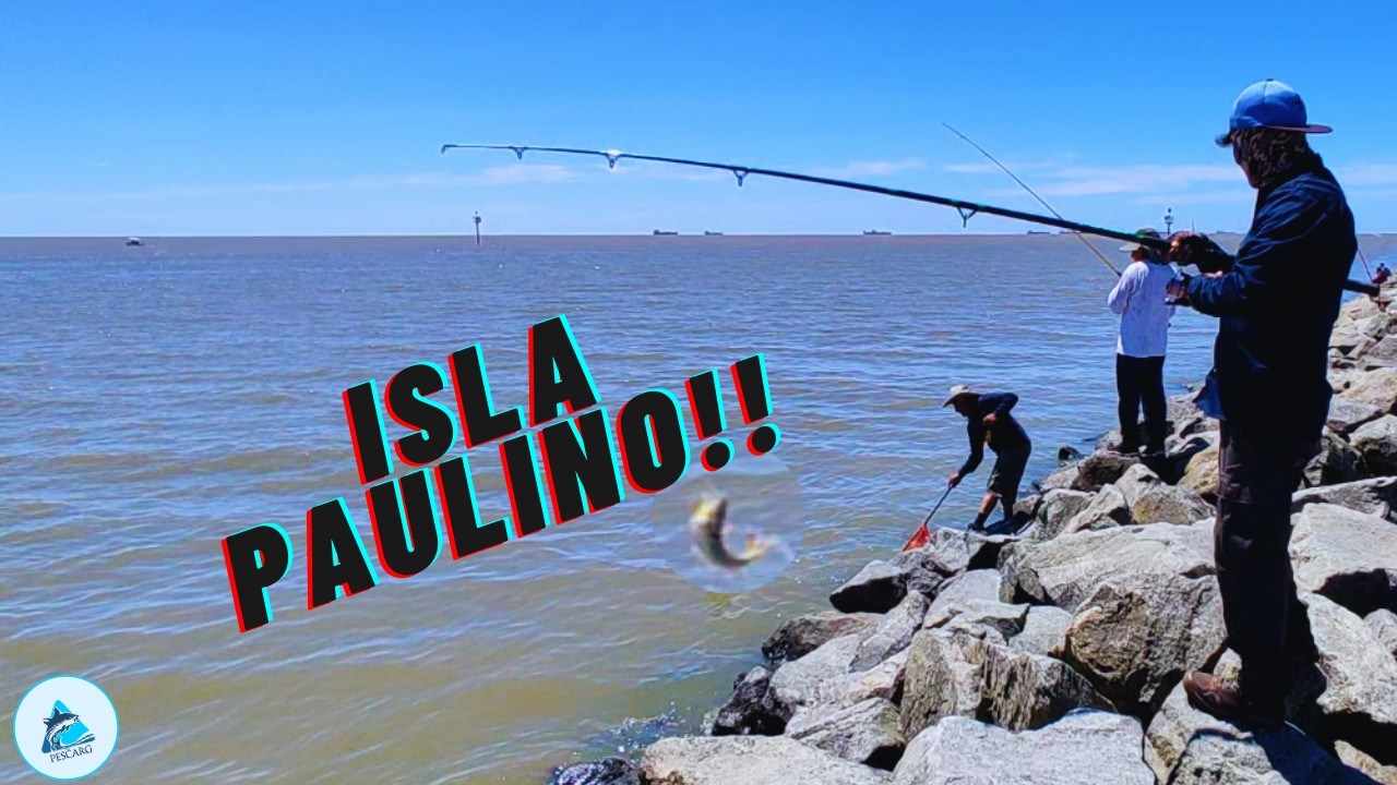 TREMENDAS BESTIAS SE ESCONDEN EN ESTE LUGAR!! | ISLA PAULINO