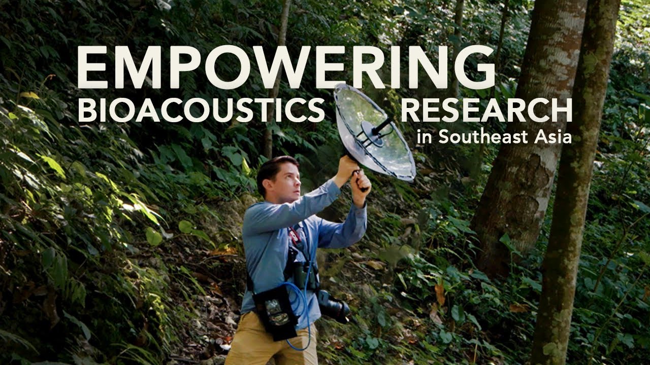 Empowering Bioacoustic Research in Southeast Asia