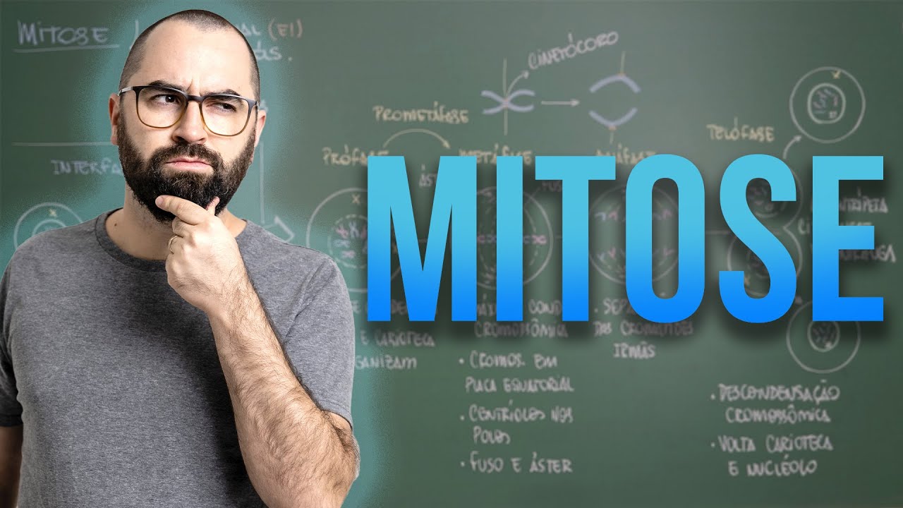 Mitose - Aula 32 - M&oacute;dulo I: Biologia Celular | Prof. Gui
