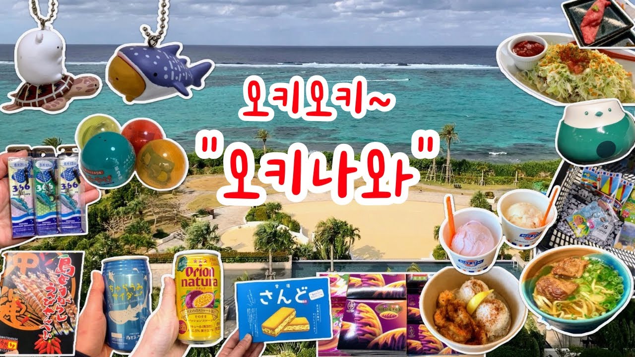 일본 브이로그 | 