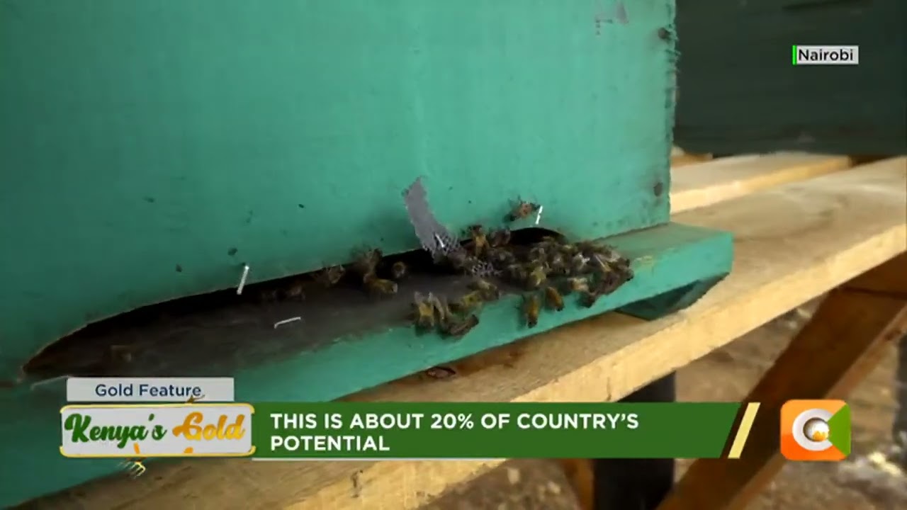 | Kenya’s Gold | Bee Keeping Manual