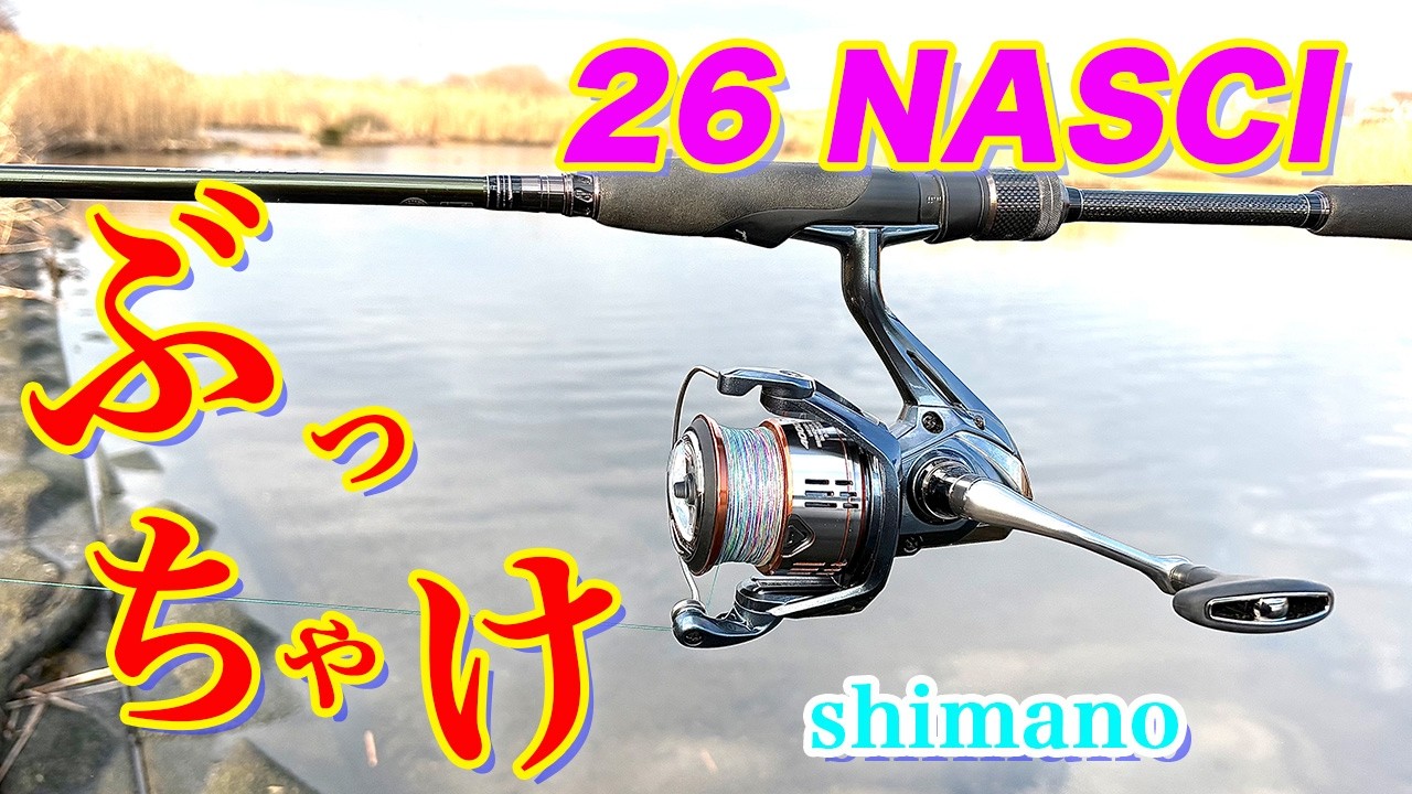 26ナスキーを購入！ぶっちゃけ、どうだったのか！？