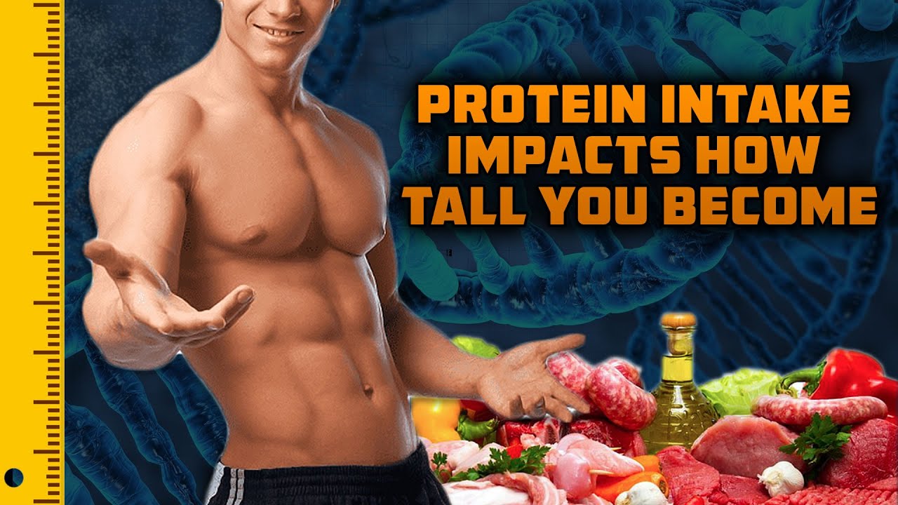 How Dramatically Protein Intake Impacts How Tall You Become