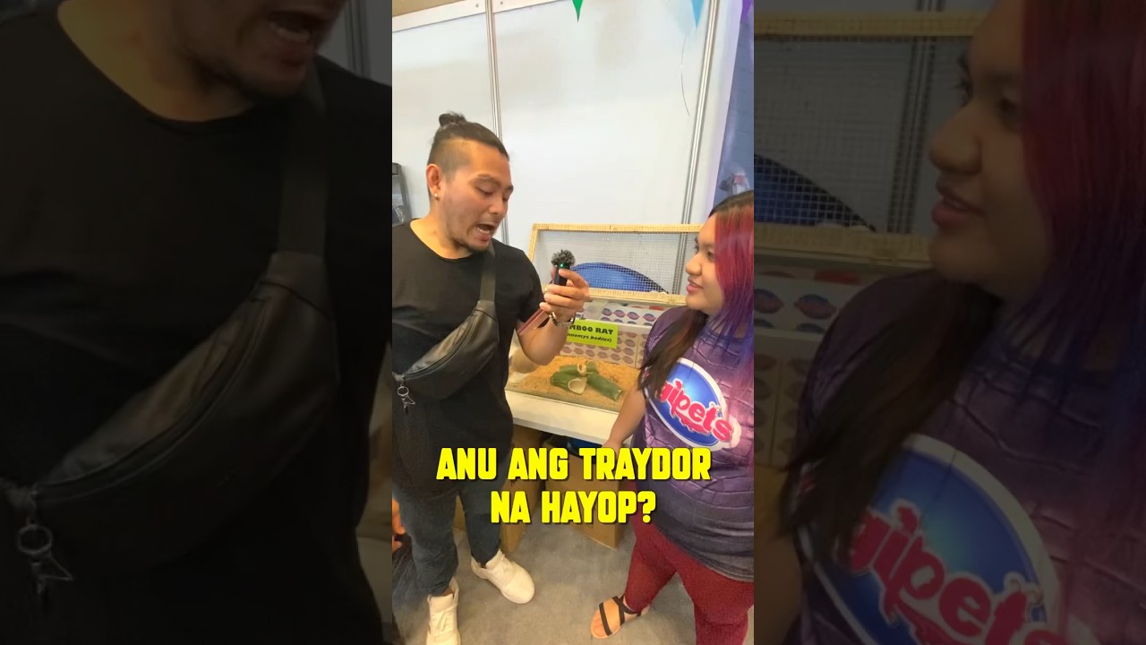 ‼️Anu sa Tingin mo⁉️