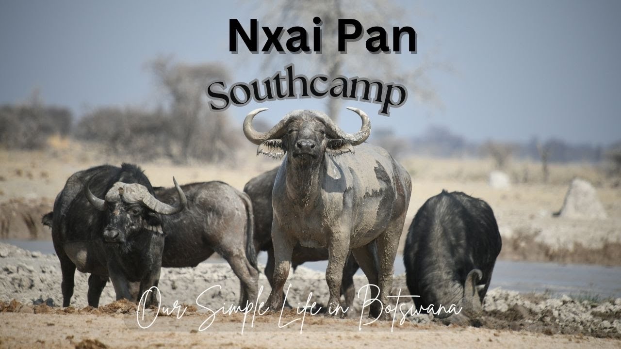 NXAI PAN| Botswana