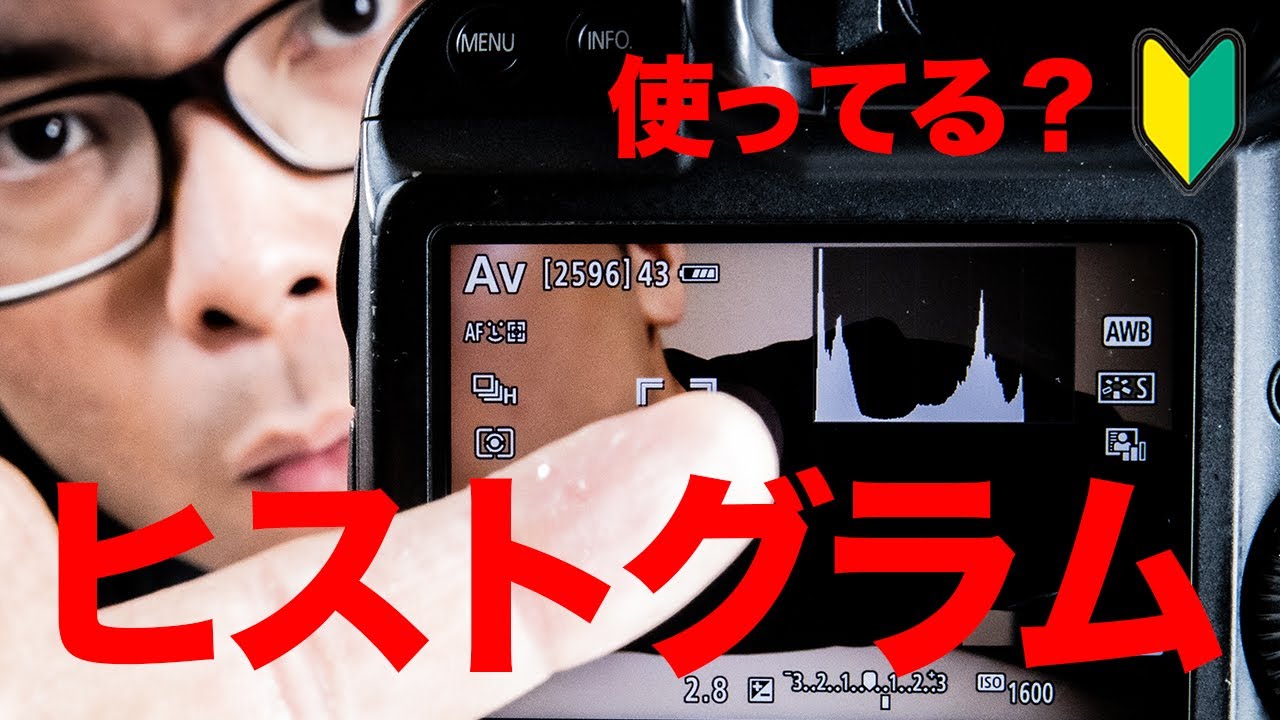 ヒストグラムの使い方大公開！一眼レフ初心者必見！ただの邪魔な存在ではない