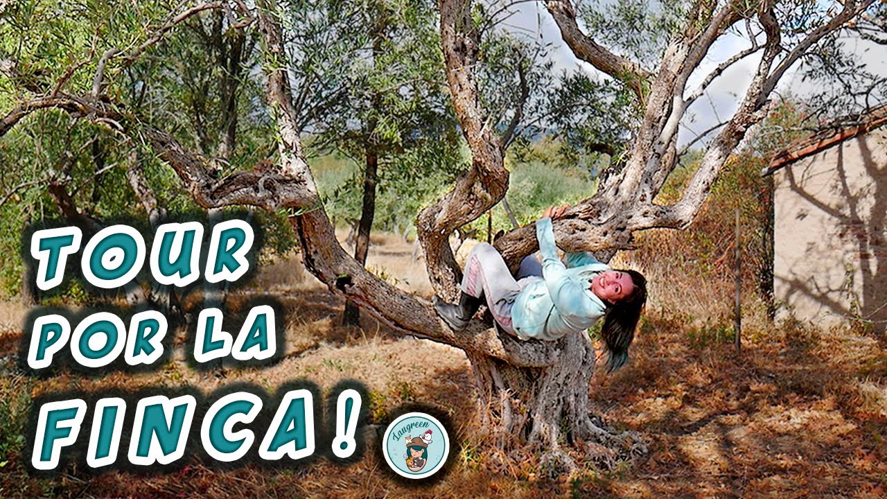Tour por Nuestra FINCA RURAL 🌾 Vida en el Campo y Nuevos Proyectos