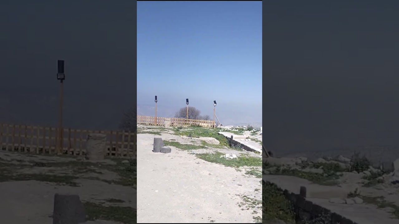 تسليق بعض النباتات البرية في الاردن ... #plants #زراعة #زراعه #world #ummqais#jordan #hiking