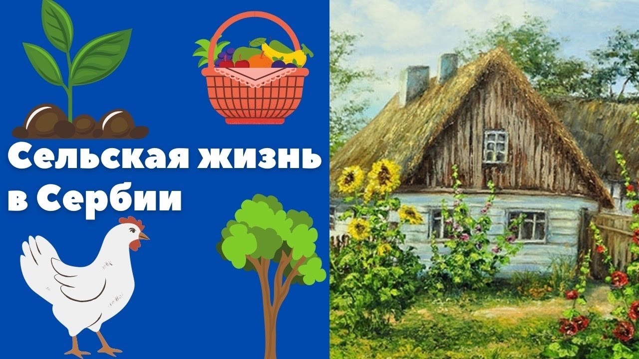 Сельская жизнь в Сербии || Уроки сербского языка