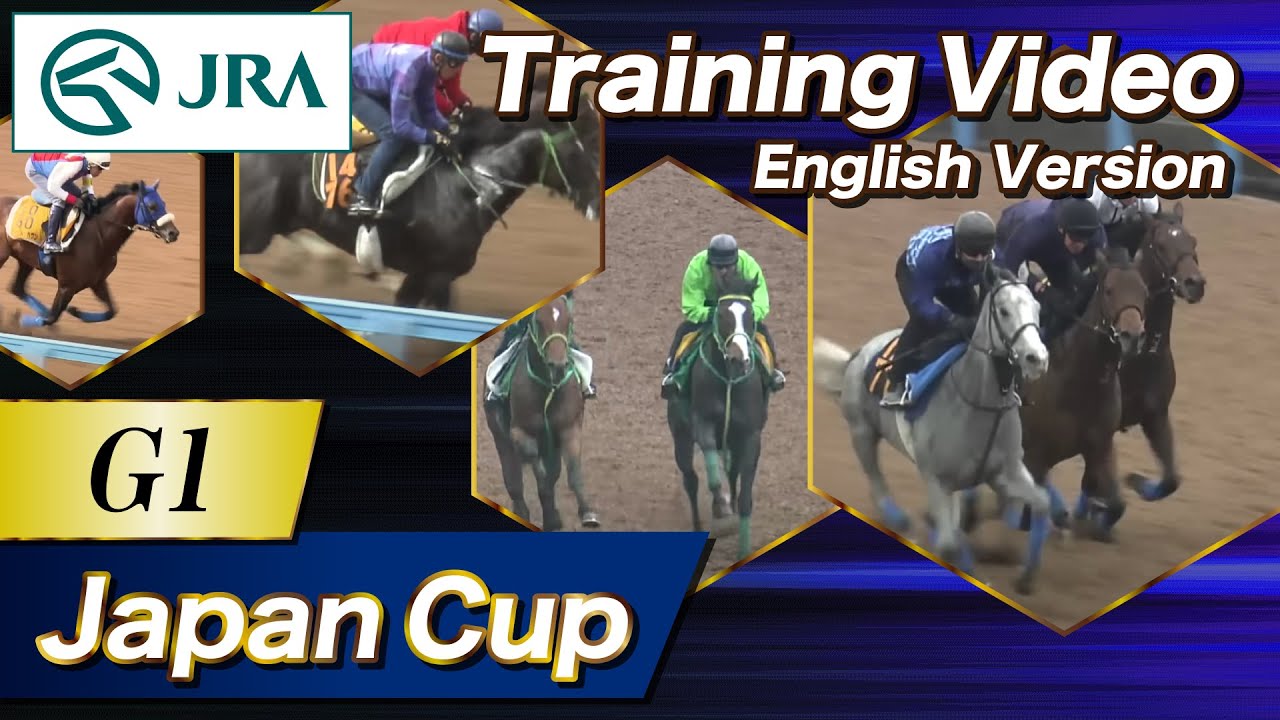 2025 Japan Cup (G1) Training Video | JRA Official [ENG sub] ジャパンカップ 調教VTR（英語版）