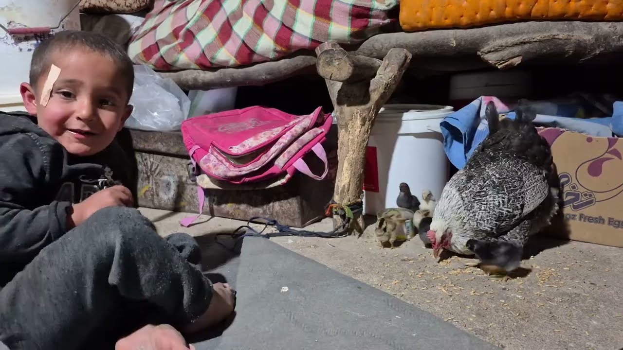 The life of Iranian nomads, family reconciliation, returning from the mountains and love for animals