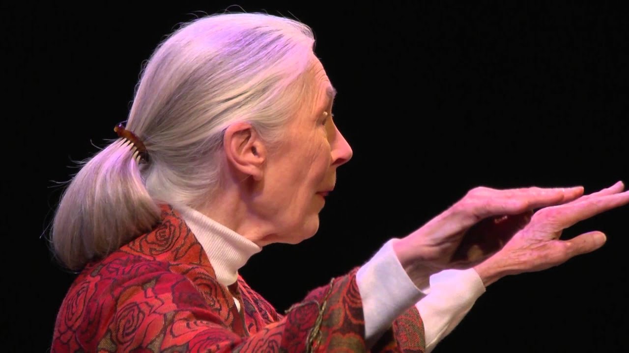 Jane Goodall on her mother
