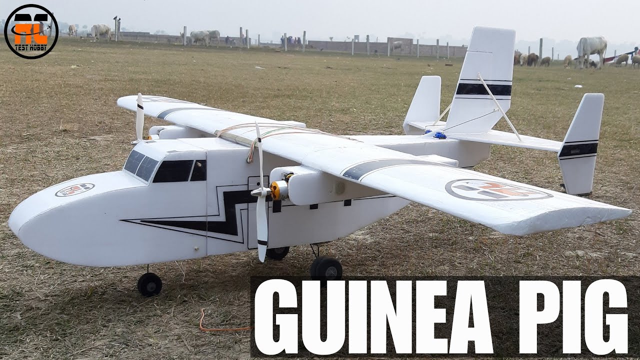 Easy to fly RC Cargo or Guinea pig plane