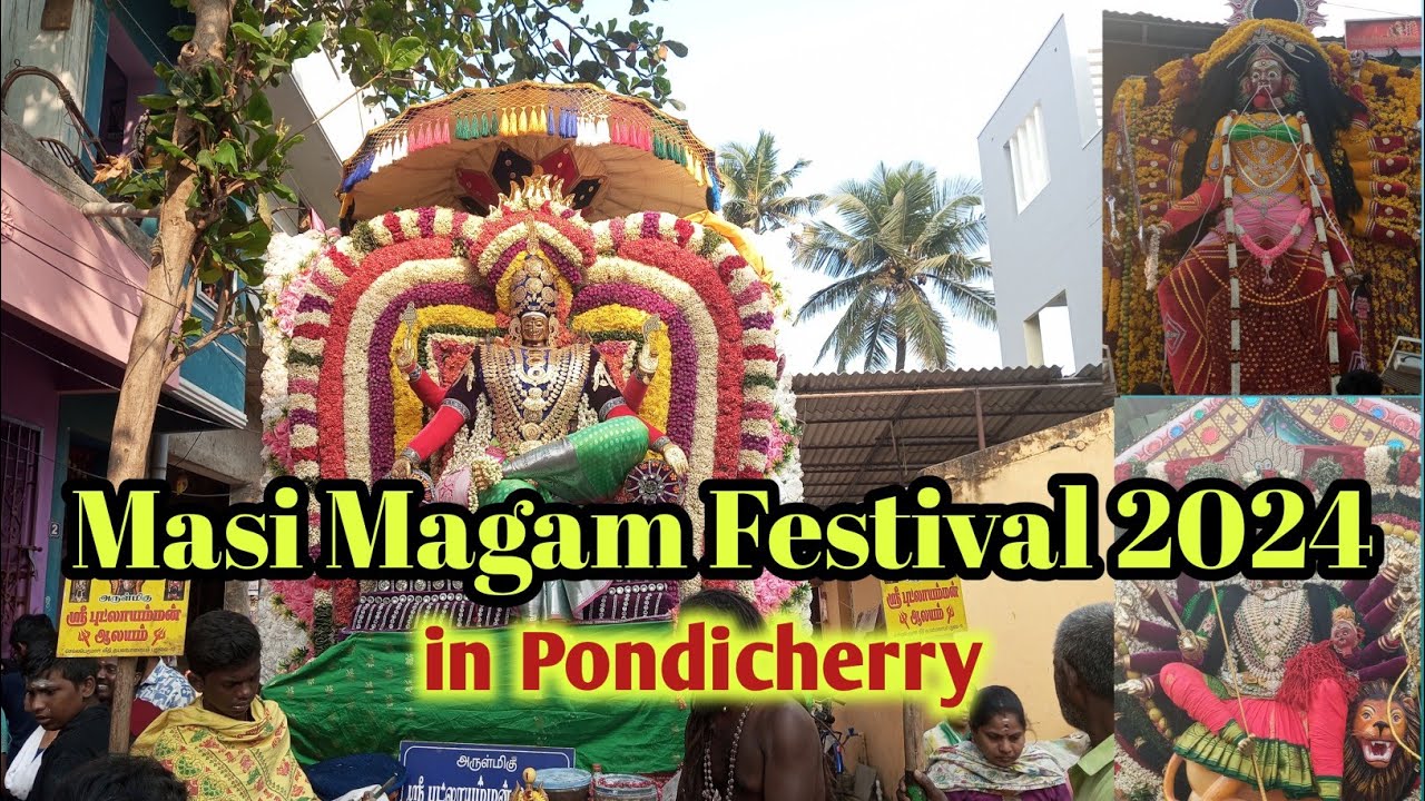 Masi Magam 2024 | Must Visit Places | Pondicherry Tourist Places | Pondicherry Trip #festival #pondi
