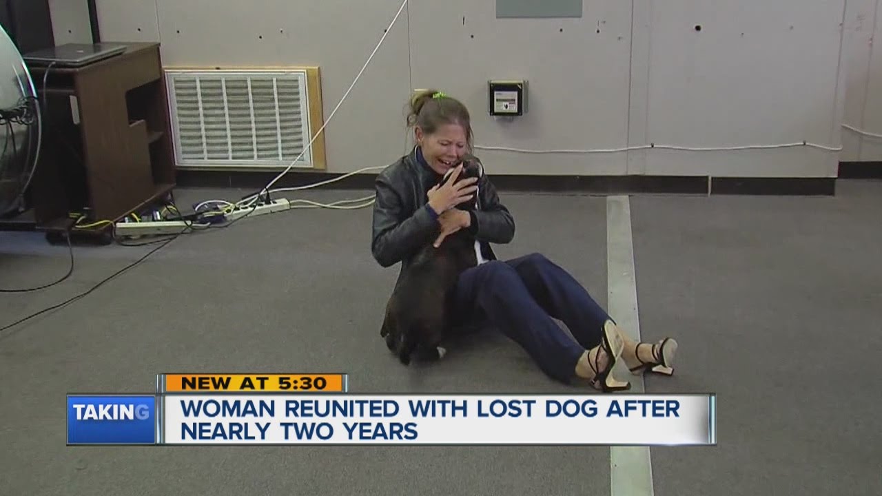 Woman reunited with dog after nearly two years