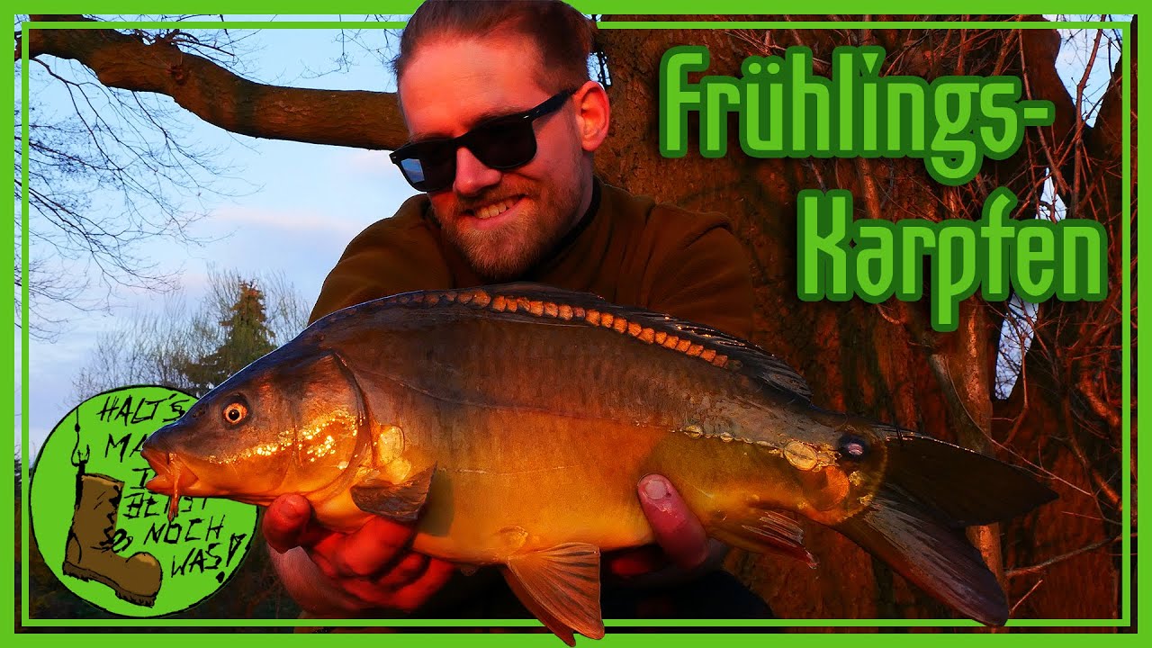 Ob der Futterplatz noch Fisch liefert? Karpfenangeln bei herrlichem Wetter im Frühling