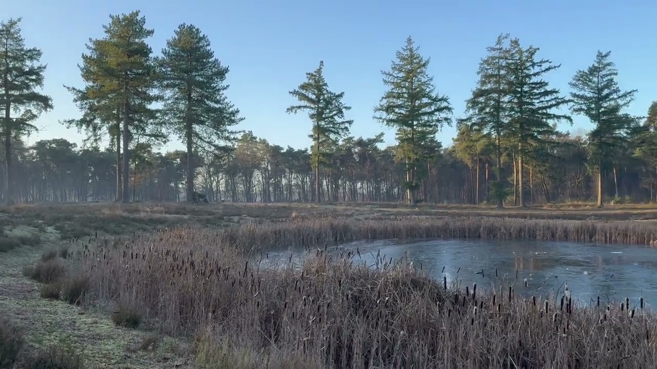 HR_winterse zondagmorgen