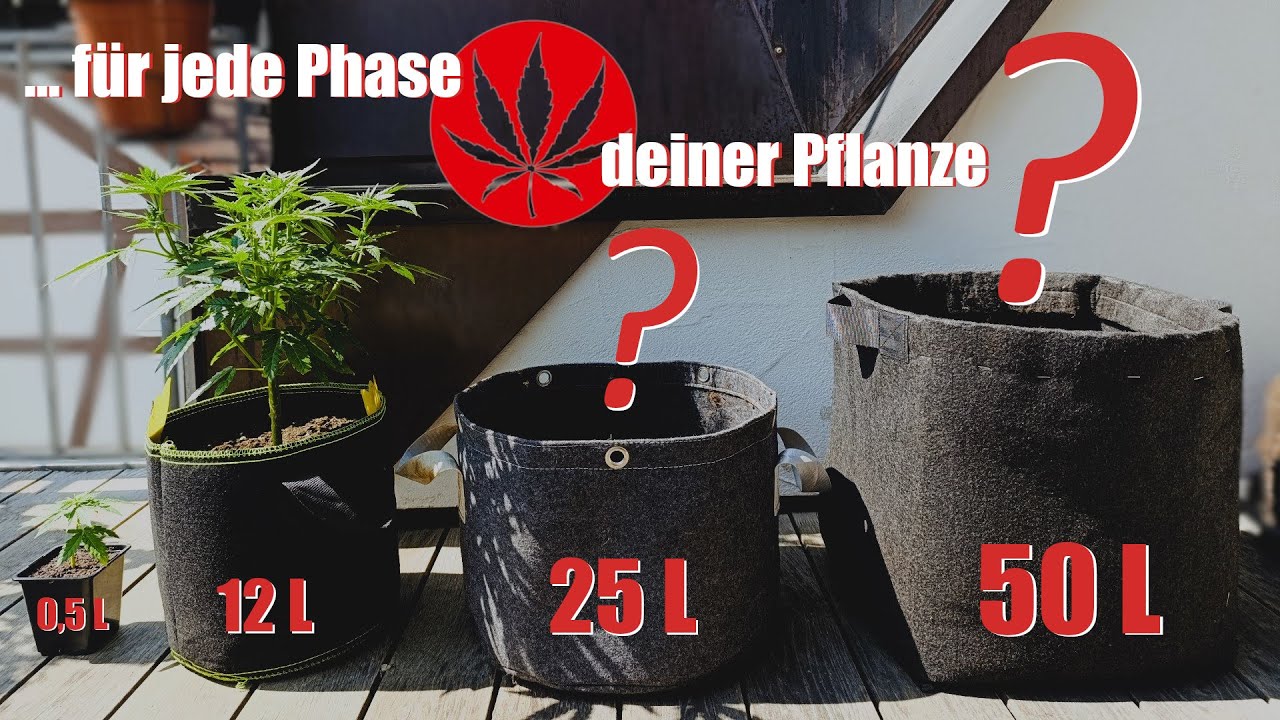 Die passende Topfgr&ouml;&szlig;e zur richtigen Zeit