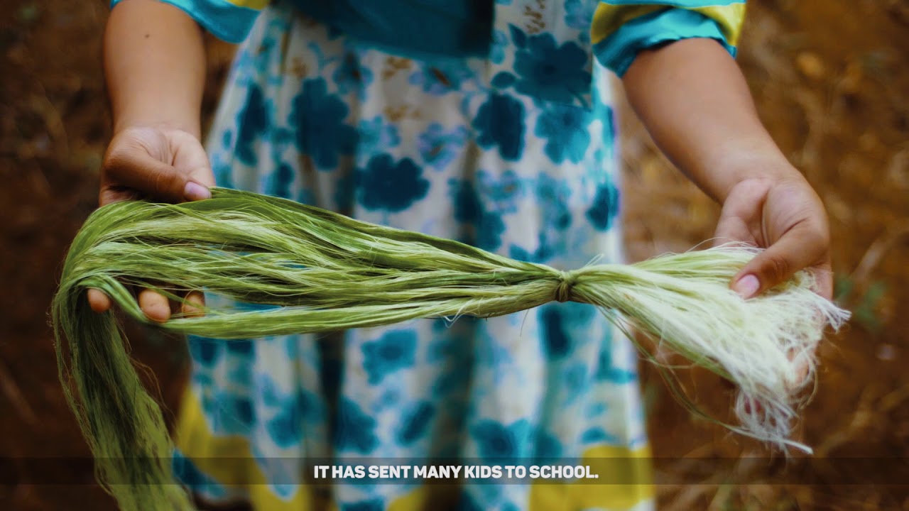 School of Living Traditions: AKLAN