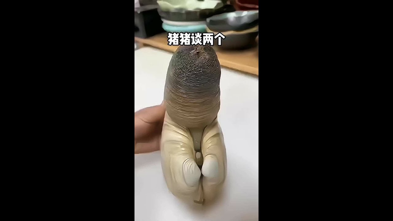 #适合女性阅读的书单推荐 #女生爱看的小说 #小说推荐 #女生必看 #适合女生看的小说推荐